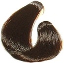 Barvy na vlasy Black barevné pěnové tužidlo černá 200 ml