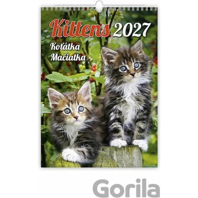 Koťátka nástěnný Helma 2027