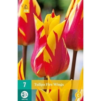 JUB Tulipán Fire Wings