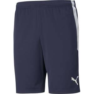 PUMA Team liga training shorts m - sportisimo - 78,14 лв
