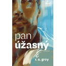Pan Úžasný