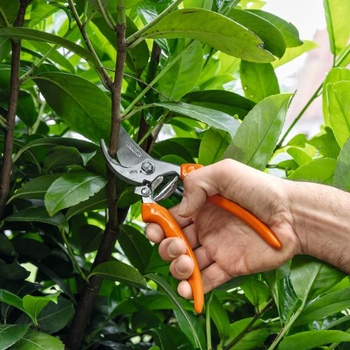 Image 1 of STIHL PG 20 00008813637