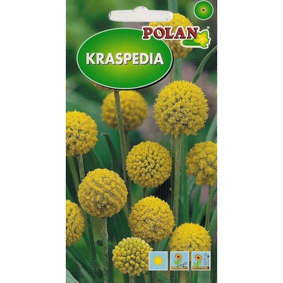 Kraspedia žltá Polan 0,1 g