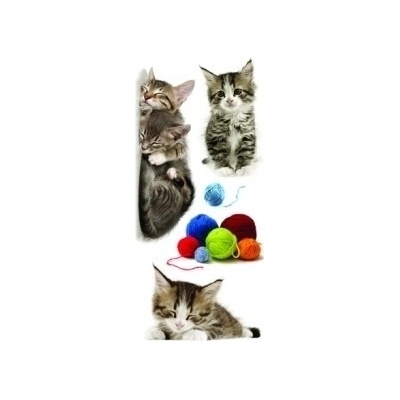 Samolepicí dekorace Cats 59452 / Samolepky na zeď Crearreda (15 x 31 cm) – Hledejceny.cz