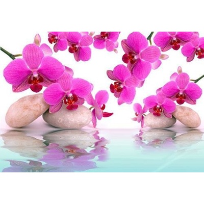 Impol Trade 151VE vliesová fototapeta orchidej růžová 310 cm x 219 cm
