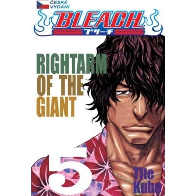 Bleach 5: Right Arm of the Giant - Kubo Tite