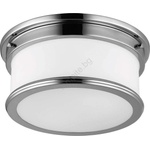 Elstead Lighting Feiss FE-PAYNE-F-BATH -Таванно осветително тяло за баня PAYNE 2xE27/60W/230V IP44 (ED0934)