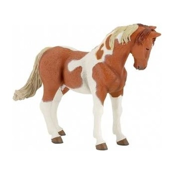 Russell Athletic Pinto Mare