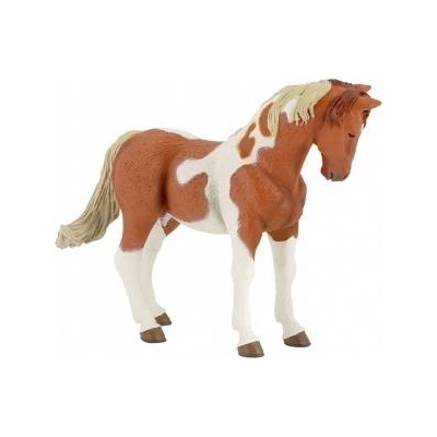 Russell Athletic Pinto Mare