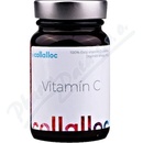 Collalloc Vitamín C 60 g