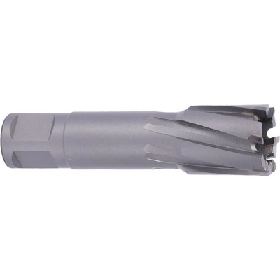 !!!! ABSE N-CA-W19-0225050