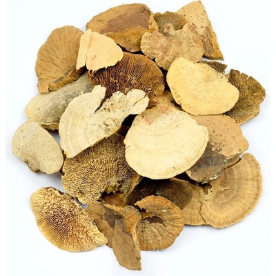 SPONGE MUSHROOM MIX 250G I195NPACZ /I430PACZ