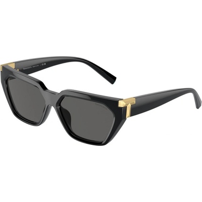 Tiffany & Co. TF4205U 8001S4