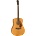 Fender Paramount PD-220E AGN OVBS + case