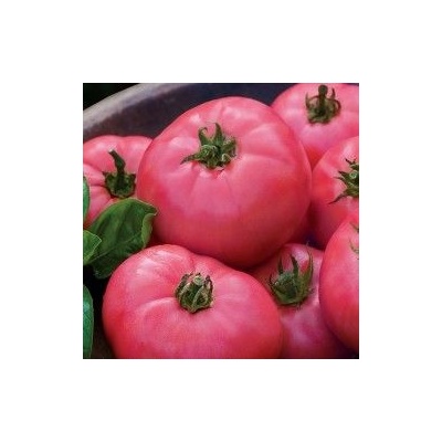 ? Домат - Big Pink F1 - 15 семена (295199)
