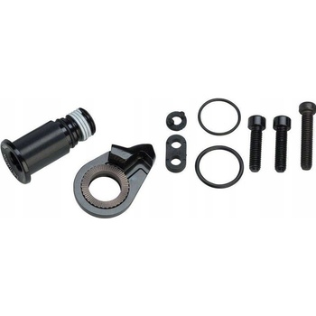 Sram RD GX EAGLE BBOLT & LIMIT SCRE