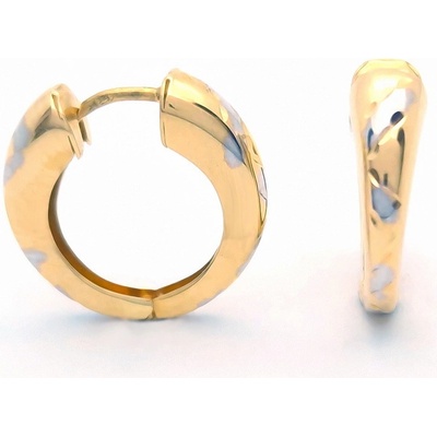 Šperk Holíč zlaté kombinované kruhové náušnice ZN176