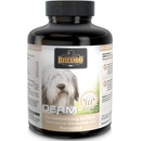 Belcando Derm 60 tbl 140 g