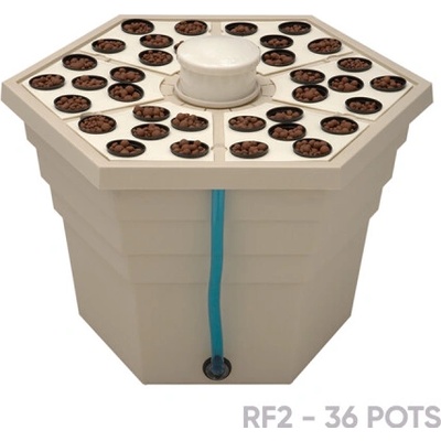 TERRA AQUATICA Rainforest 2" - 36 rostlin