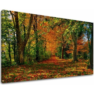 Obraz na stenu STROMY - 30x40 cm