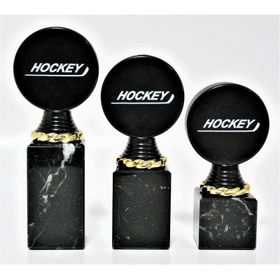 VIZINGR Hokej trofeje P508-MULTI-M401-3 P508-MULTI-M402/17,5 cm
