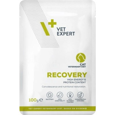 VetExpert Veterinary Diet 4T Recovery Cat 100 g