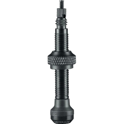 SCHWALBE Ventil SV Tubeless 60mm 2ks