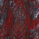 Asfast - Prime Same LP