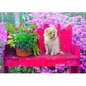Bluebird Puzzle - Puzzle Puppy in the Colorful Garden - 500 piese
