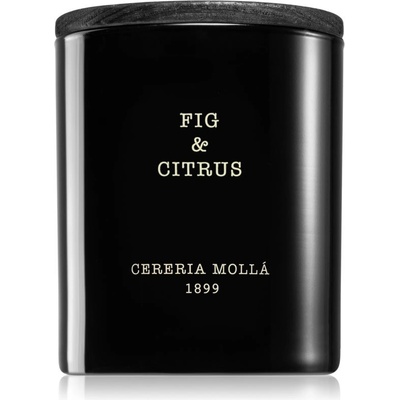 Cereria Mollá Fig & Citrus 230 g