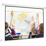 Avtek Wall Electric 240 1EVEE6 Прожекционни екрани