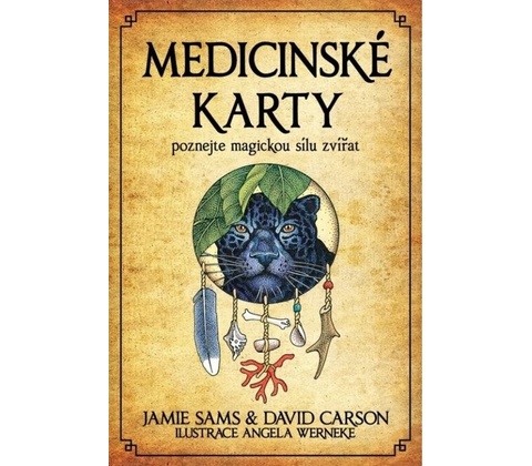 Medicinské karty