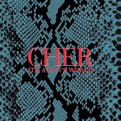 Cher: It's A Man's World: CD