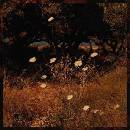 Szun Waves - Earth Patterns LP