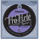 D'ADDARIO EJ44TT