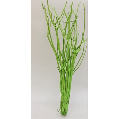 Misumata 45-60cm zelená