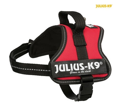 Julius K9 silový postroj