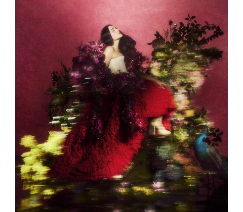 Ware Jessie - Superbloom CD