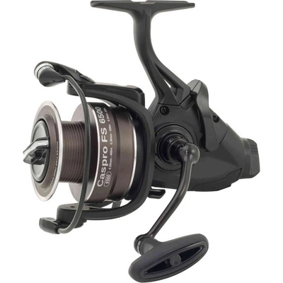 Ryobi Caspro FS 5500