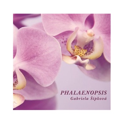 Phalaenopis - Šípková Gabriela
