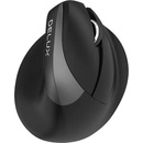 DeLUX M618Mini Black