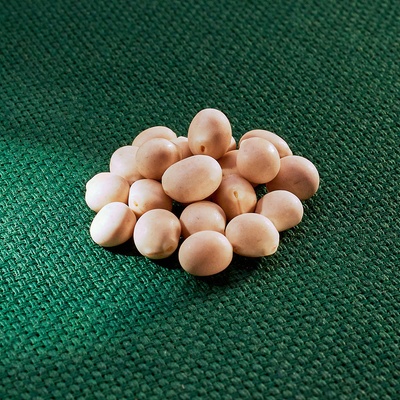 AROS lupina úzkolistá