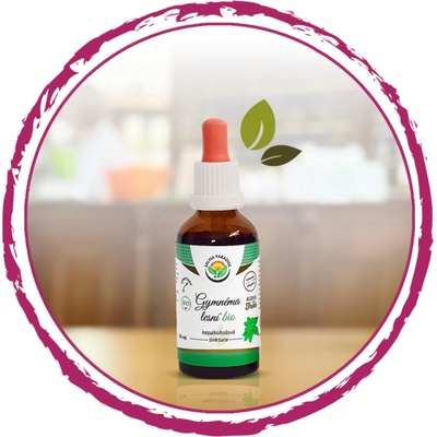 Salvia Paradise Gymnéma lesní AF tinktura 50 ml