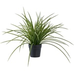 House Nordic Изкуствена трева (височина 45 cm) - House Nordic (9501004)
