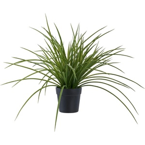House Nordic Изкуствена трева (височина 45 cm) - House Nordic (9501004)
