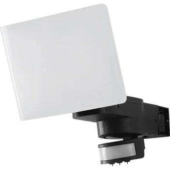 NEDES LFX021