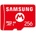 Samsung microSDXC Express 256GB Nintendo Switch 2 (N2P601)