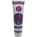 Berrywell barevná maska na vlasy Aubergine 251 ml