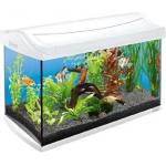 Tetra AquaArt Aquarium Complete Set 60L - оборудван аквариум - БЯЛ - 61 x 33, 5 x 42, 7 см