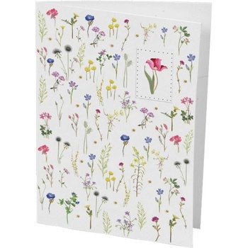 Картичка Turnowsky MO5083 (MO5083)